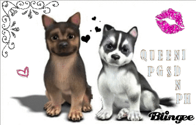 Queeni's PGSD n PH's Breeding Club 1... Queeni's PGSD n PH's Breeding Club 1...