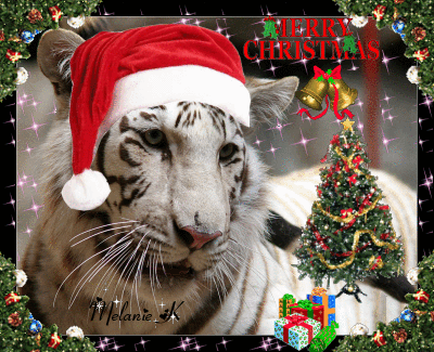 merry christmas tiger picture 103078819 blingee com merry christmas tiger picture 103078819 blingee com