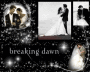 Breaking Dawn Breaking Dawn