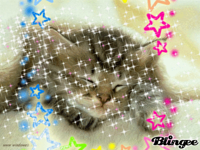 Immagine Buona Domenica Gatti 103101443 Blingee Com