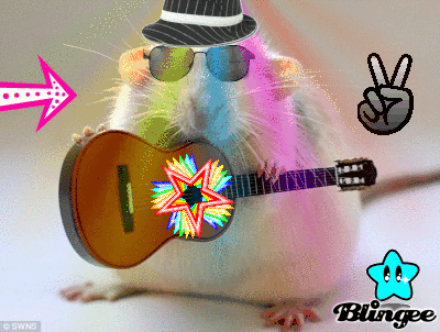 553389794_1495983.gif?4