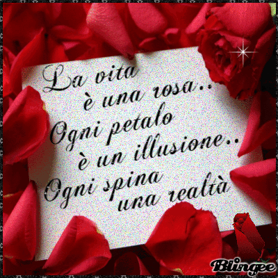 Frase Rosa Picture 103456554 Blingee Com