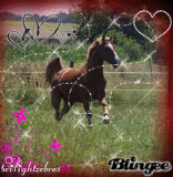 cheval