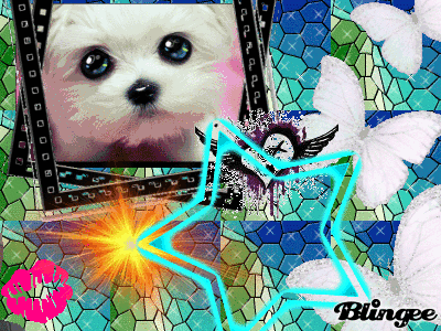 ♥Vendesi avatar e tesserini♥ By bimbagiuly! 554553417_1425678