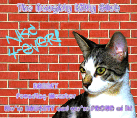 Naughty Kitty Club Badge