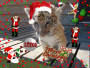 Merry Christmas!!!