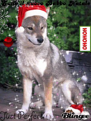 Immagini Zampa Natale.Https Encrypted Tbn0 Gstatic Com Images Q Tbn 3aand9gcqrpjssdopx2ubn91wvvbmkkxwqf59zrs3r2g Usqp Cau