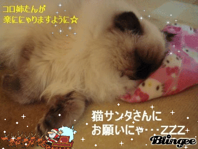 パインの願い事☆ パインの願い事☆