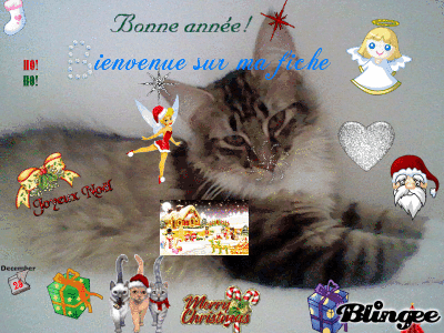 Bon,joyeux Noël! Bon,joyeux Noël!