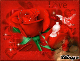 COME CREARE UN BLINGEE COME CREARE UN BLINGEE