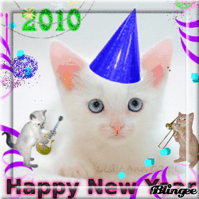 bonne année !!!!!!!!!!!!!!!!