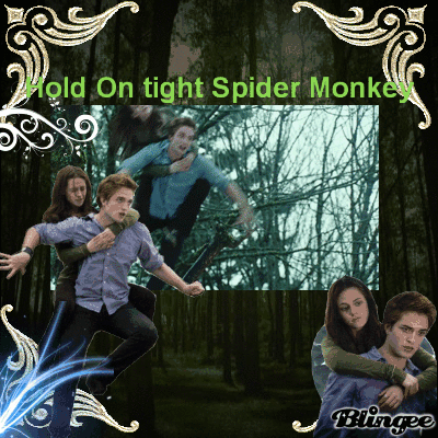 HOLD ON TIGHT SPIDER MONKEY- TWILIGHT Picture #104200467 | Blingee.com