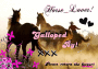 Horses