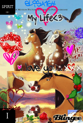 Gif di cavalli selvaggi tumblr