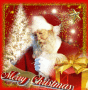 christmas christmas