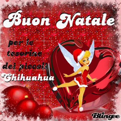 Https Encrypted Tbn0 Gstatic Com Images Q Tbn 3aand9gctvpjddscdcqxiexobu1vxtlp98nviva 2jzg Usqp Cau