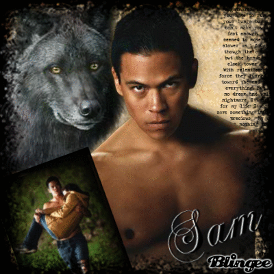 Wallpaper Twilight Quil Pictures P 1 Of 2 Blingee Com Desktop Wallpaper