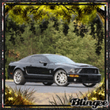 Ford Mustang Shelby GT 500 KR