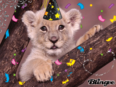 mignon joyeux gif tumblr