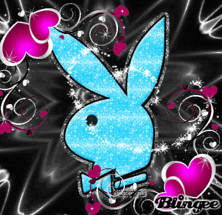 Playboy Hase Playboy Hase