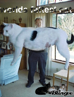 Https Encrypted Tbn0 Gstatic Com Images Q Tbn 3aand9gcrct5kdcrne7bqmr2iye3nc3g7cwhlslozdea Usqp Cau