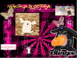 mokona pucciosaa mokona pucciosaa