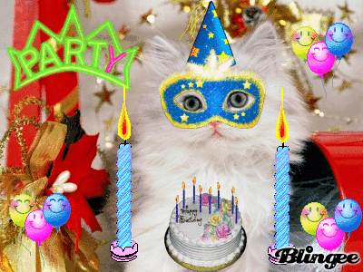 Happy birthday cat! Animated Picture Codes and Downloads ...