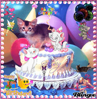 Birthday Kittens