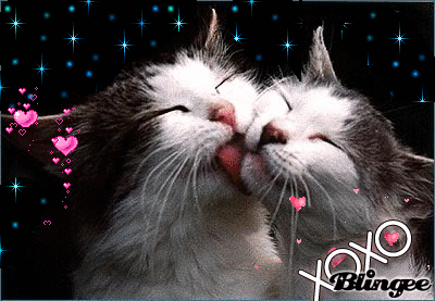 Https Encrypted Tbn0 Gstatic Com Images Q Tbn 3aand9gcrmcxr F5t2umtjlxstsccnawvtdtjtfg5wca Usqp Cau