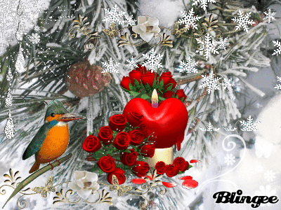 happy birthdau happy birthdau