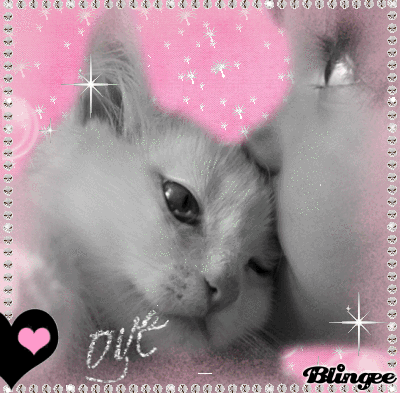 Love Cat