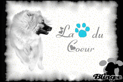 La patte du coeur La patte du coeur
