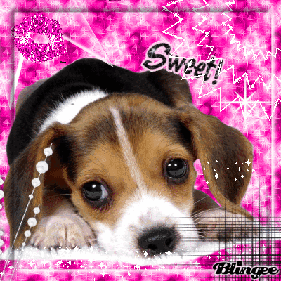 sweet dogs immagine sweet 106104397 blingee sweet dogs immagine sweet 106104397 blingee