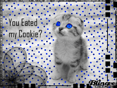 Eated Cookie
