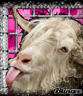 Https Encrypted Tbn0 Gstatic Com Images Q Tbn 3aand9gct7xypvarbuzxv0bwntn 1qnicnid Pztp1mw Usqp Cau