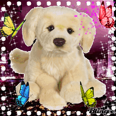webkinz signature golden retriever webkinz signature golden retriever picture 106487297 blingee webkinz signature golden retriever webkinz signature golden retriever picture 106487297 blingee