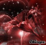 Blume im Universum 