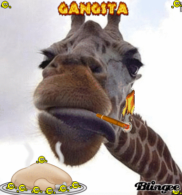 Giraffa Drogata Immagini Animate Da Condividere 106956086 Blingee Com