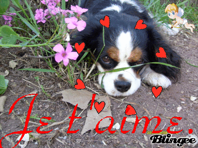 A MON AMIE JOYEUSE ST VALENTIN