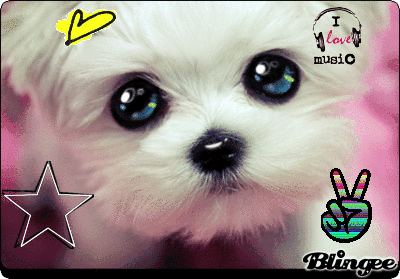 379 Of The Cutest Puppies Ever Bored Panda