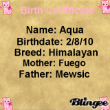 Aqua's Birth Certificate