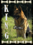 king king
