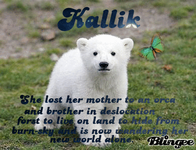 Kallik From Seekers