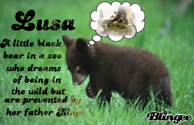 Lusa Picture 107707635 Blingee Com