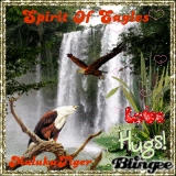 SPIRIT OF EAGLES