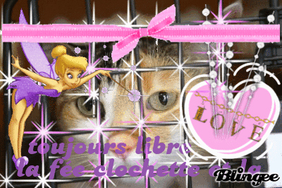 toujous libre la f&eacute;&eacute; clochette et la!!