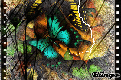 papillon bleu et jaune