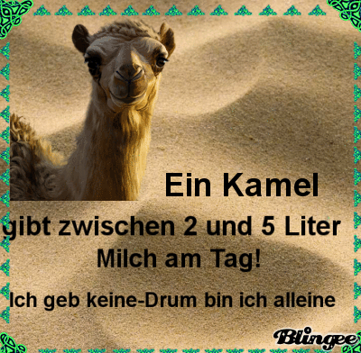 Ich bin kein Kamel Picture 107757116