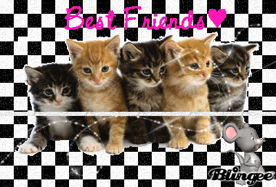 Bff Kittens