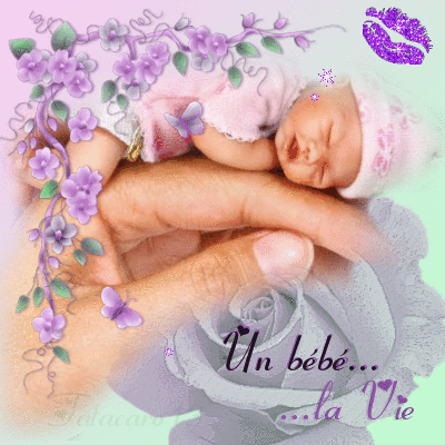 BONHEUR... 595411331_1315931